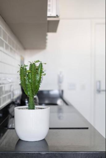 Studio Vista Para Cidade Apartman São Paulo Kültér fotó